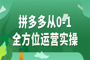 拼多多从0-1全方位运营实操-小栈资源网