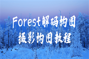 Forest解码构图摄影构图教程-小栈资源网