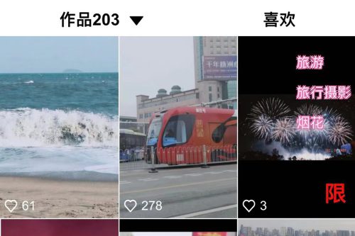 【全网首发】花800买的抖音标签检测源码-小栈资源网
