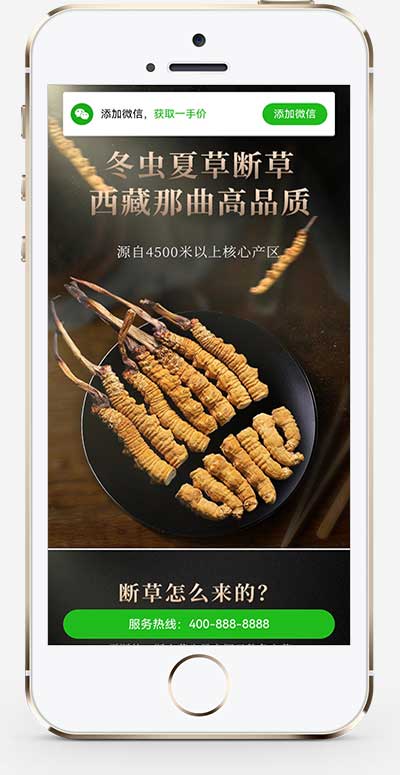(独立手机版)营销推广落地页pbootcms模板 落地页单页网站源码-小栈资源网