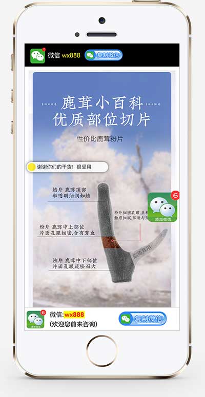 (独立手机版)营销推广落地页网站源码 落地页单页pbootcms模板-小栈资源网