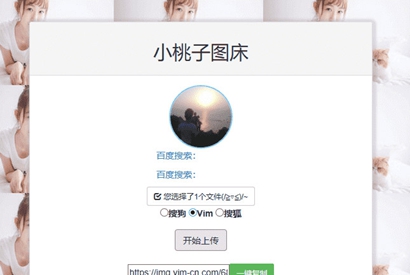 极简聚合图床程序源码 支持搜狗搜狐Vim图-小栈资源网