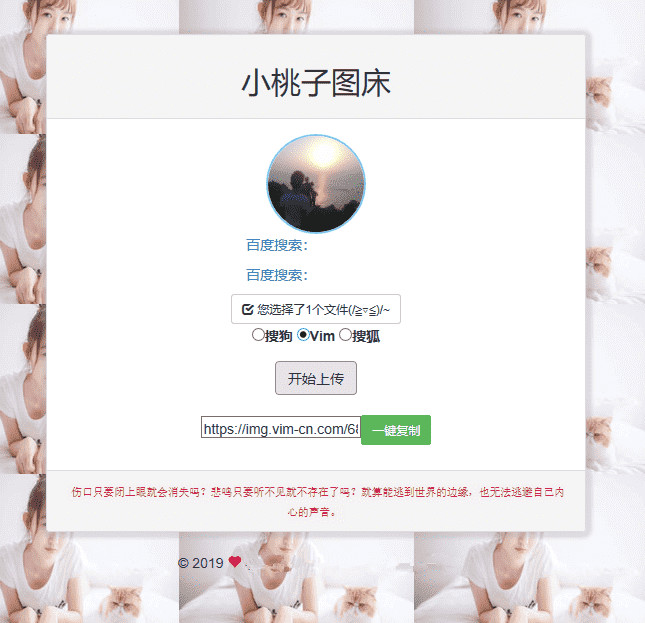 图片[1]-极简聚合图床程序源码 支持搜狗搜狐Vim图-小栈资源网