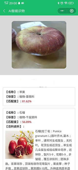 图片[2]-AI智能识物小程序 v1.2.1-小栈资源网