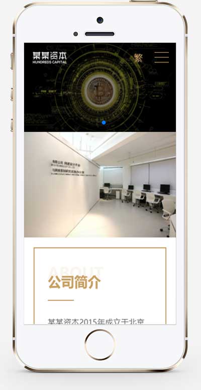 图片[2]-(自适应手机端)简繁双语响应式HTML5通用金融资本咨询网站单页pbootcms模板-小栈资源网