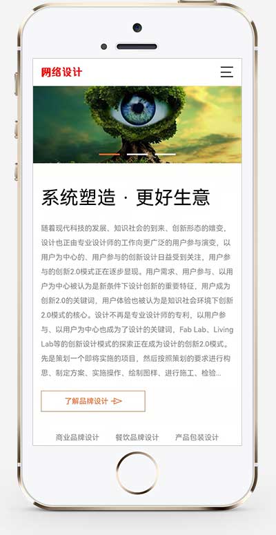 图片[2]-(自适应手机端)品牌策划设计公司网站源码 网络设计公司pbootcms网站模板-小栈资源网