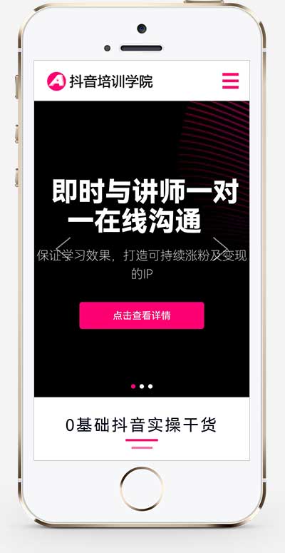 图片[2]-(自适应手机端)响应式自媒体短视频拍摄技巧网站源码 抖音网红培训机构pbootcms网站模板-小栈资源网