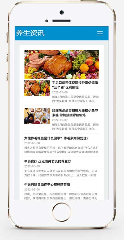 图片[2]-(自适应手机端)HTML5响应式百度MIP三合一养生资讯文章新闻博客类网站源码  pbootcms模板-小栈资源网