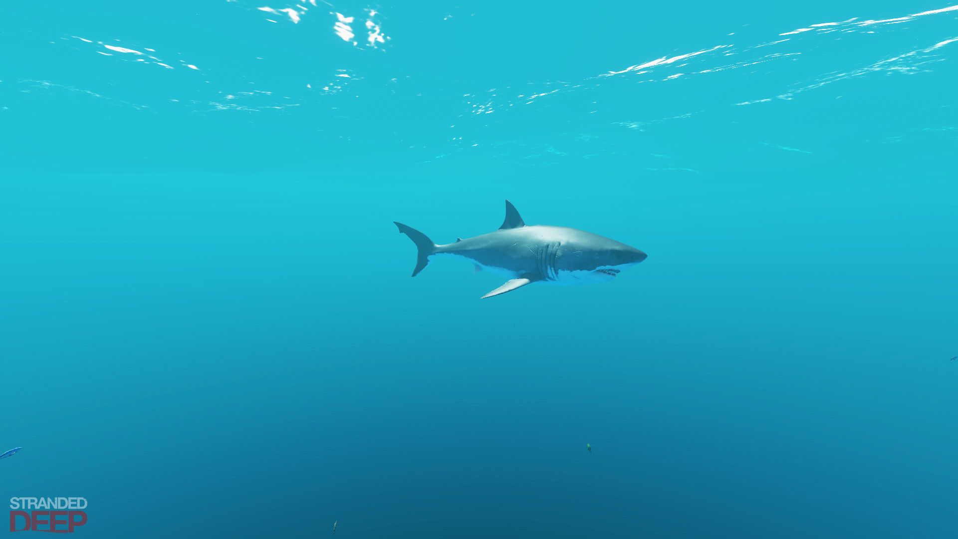 图片[8]-荒岛求生-小栈资源网