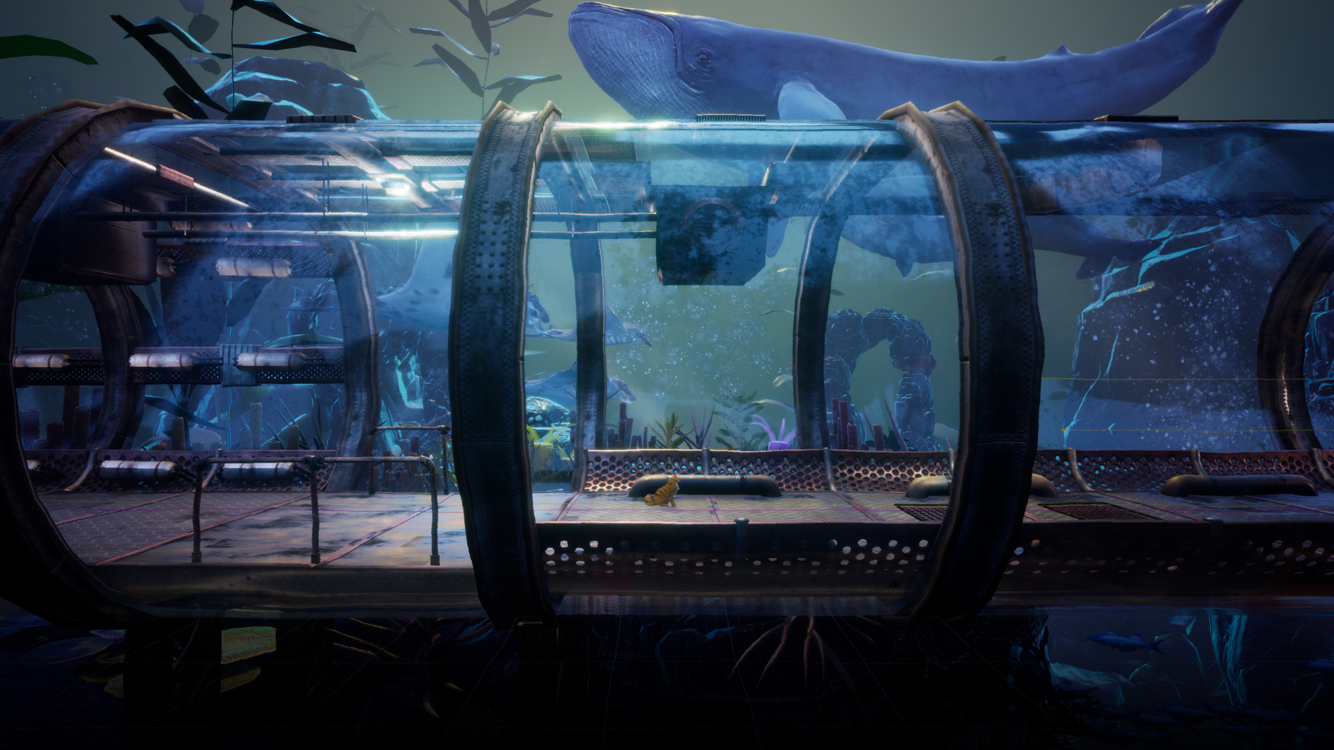 图片[3]-别样视界-小栈资源网