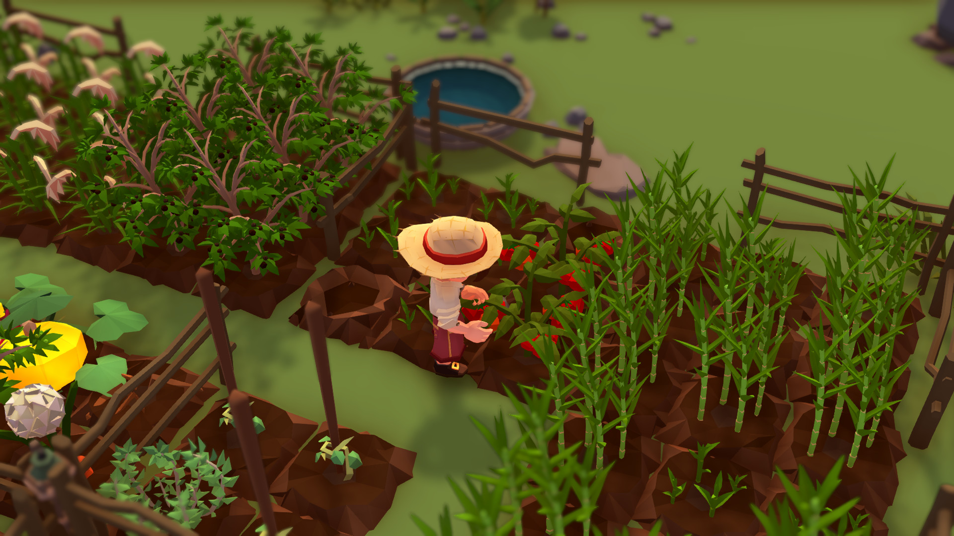 图片[3]-落难航船:诅咒之岛的探险者-小栈资源网