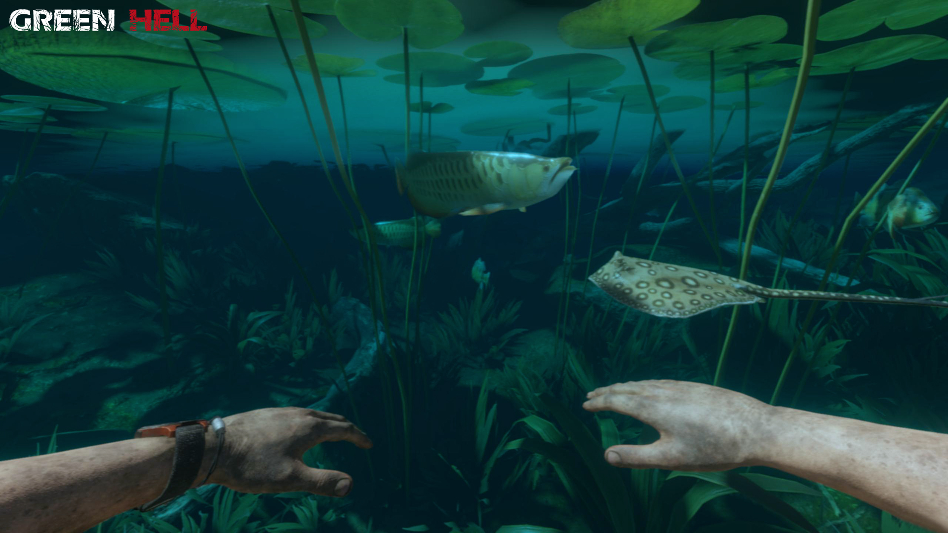 图片[5]-绿色地狱/丛林地狱-小栈资源网