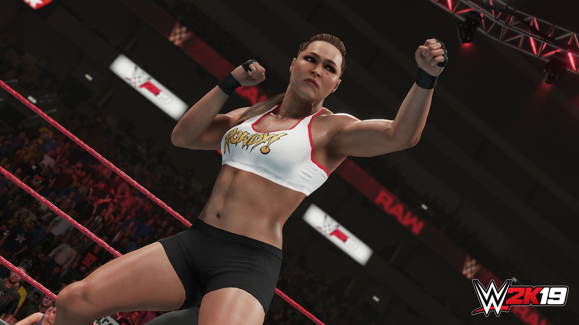 图片[1]-WWE 2K19-小栈资源网