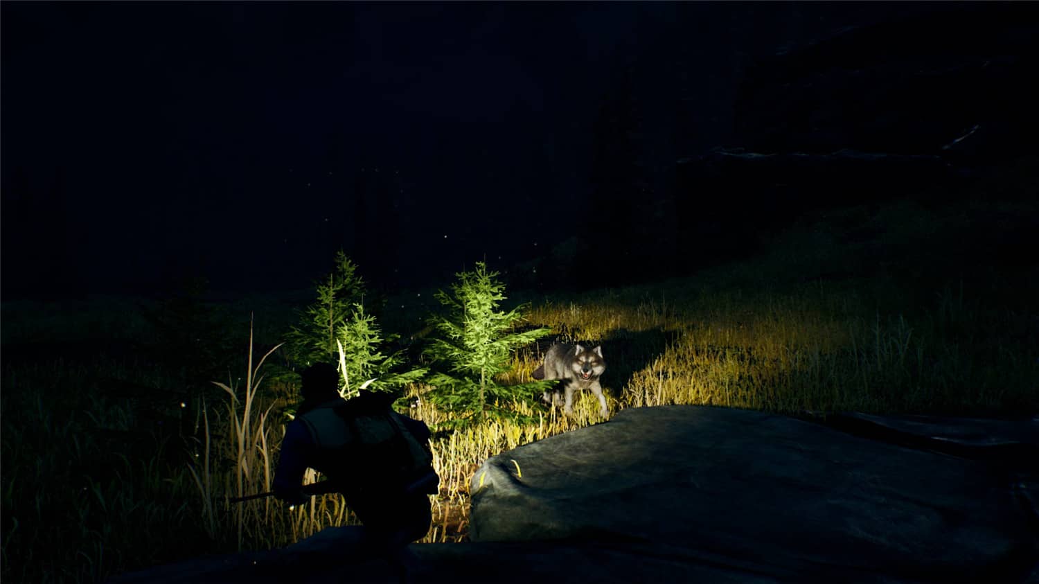 图片[3]-辽阔旷野/Open Country-小栈资源网