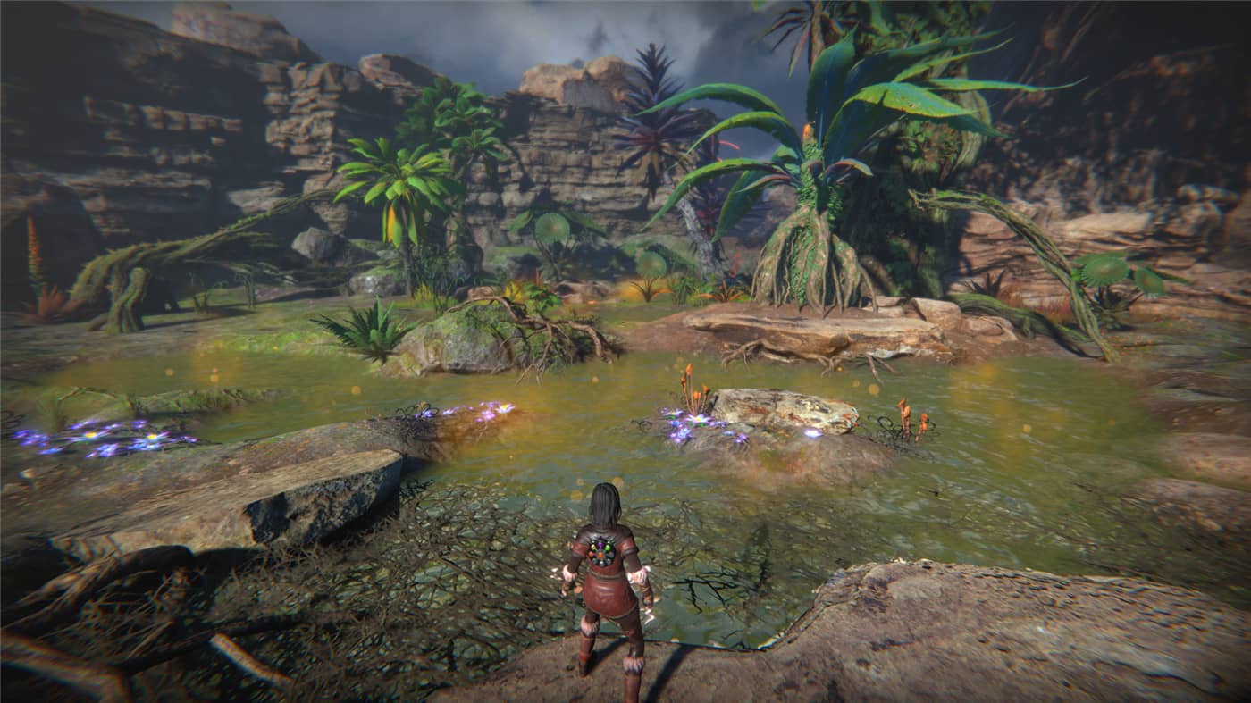 图片[3]-生命之种/Seed of Life-小栈资源网