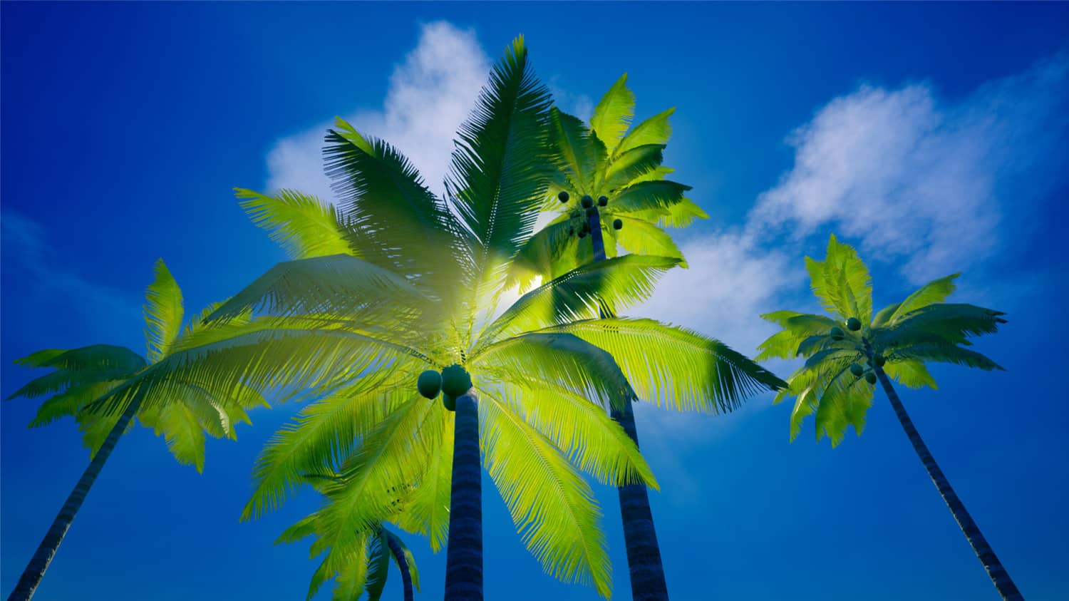 图片[7]-我的海岛/My Island-小栈资源网