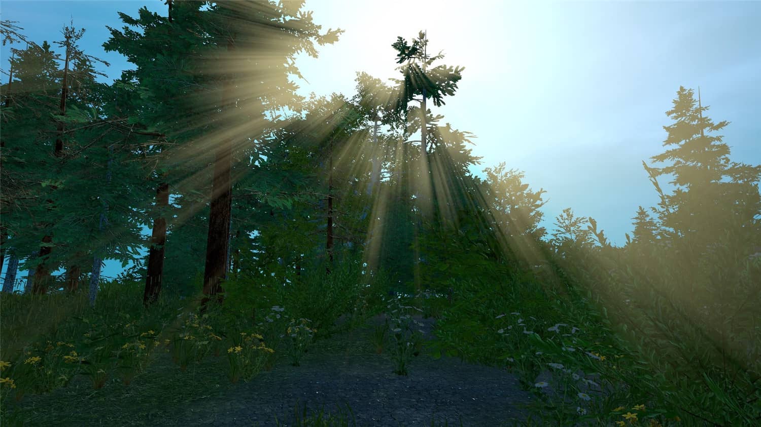 图片[6]-荒野的试炼/Trials of Wilderness-小栈资源网