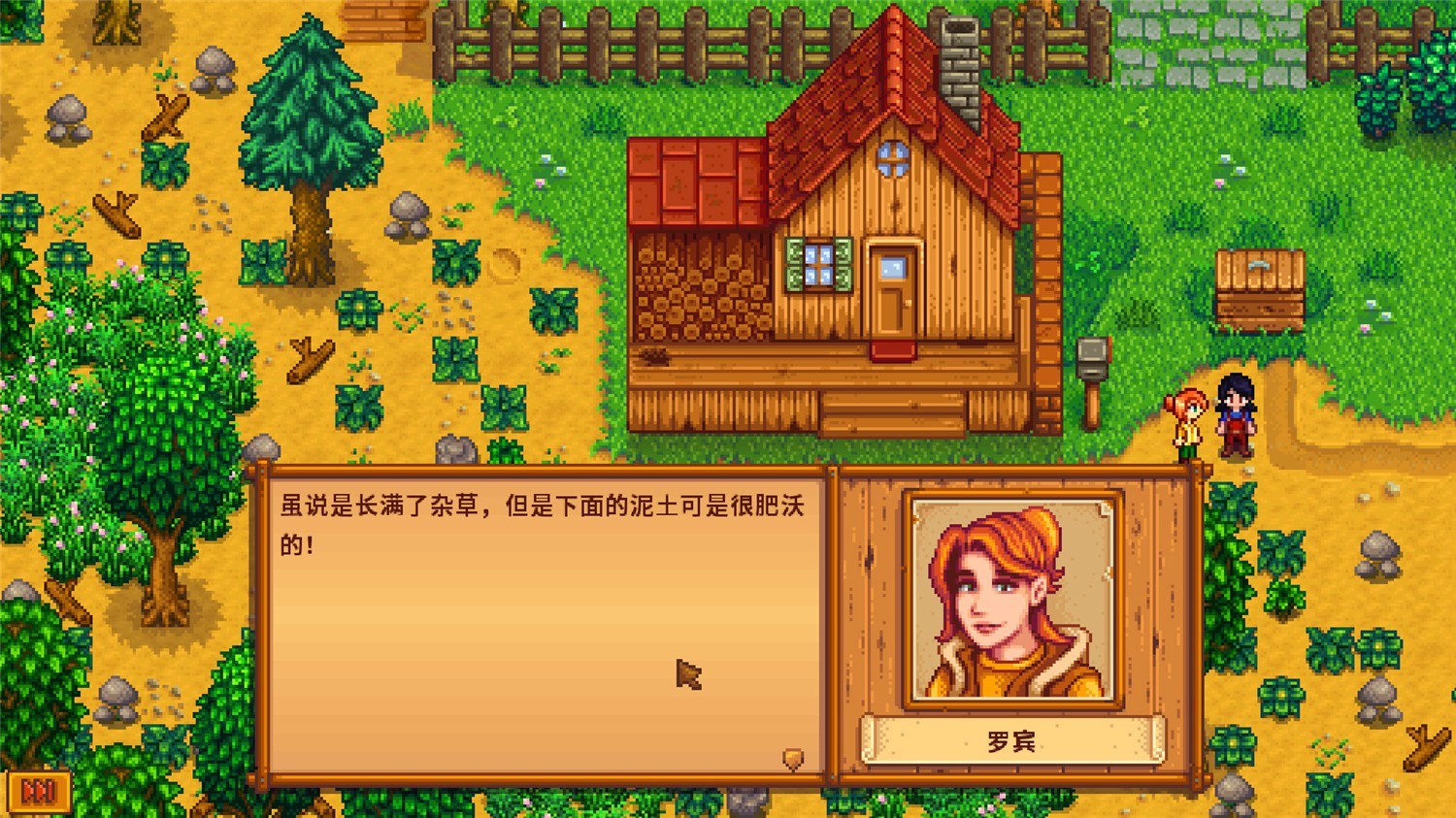 图片[4]-星露谷物语/Stardew Valley-小栈资源网