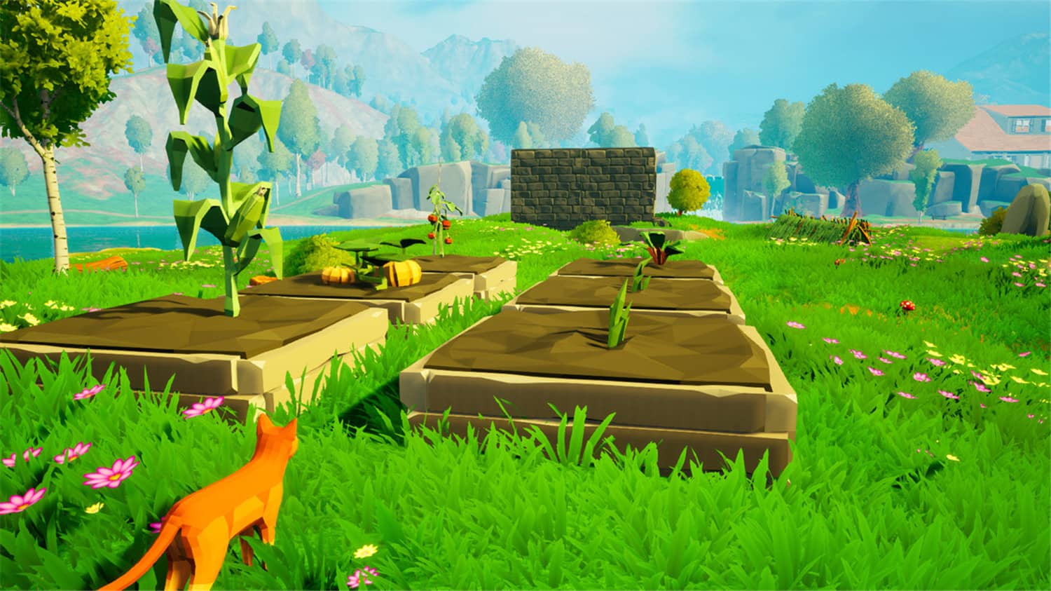 图片[5]-猫咪小镇/Cat Town-小栈资源网