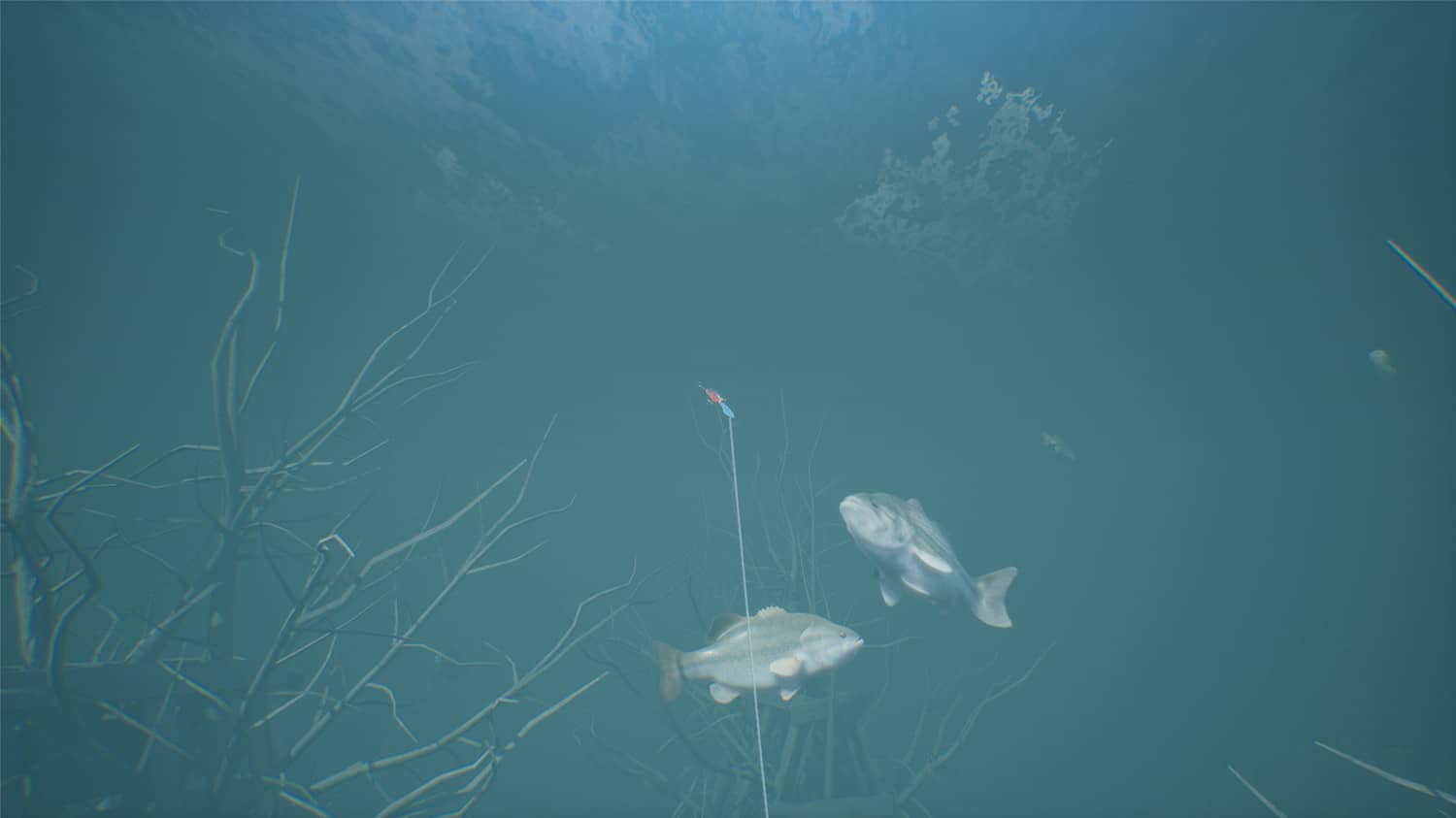 图片[7]-鲈鱼大师赛2022/Bassmaster Fishing 2022-小栈资源网