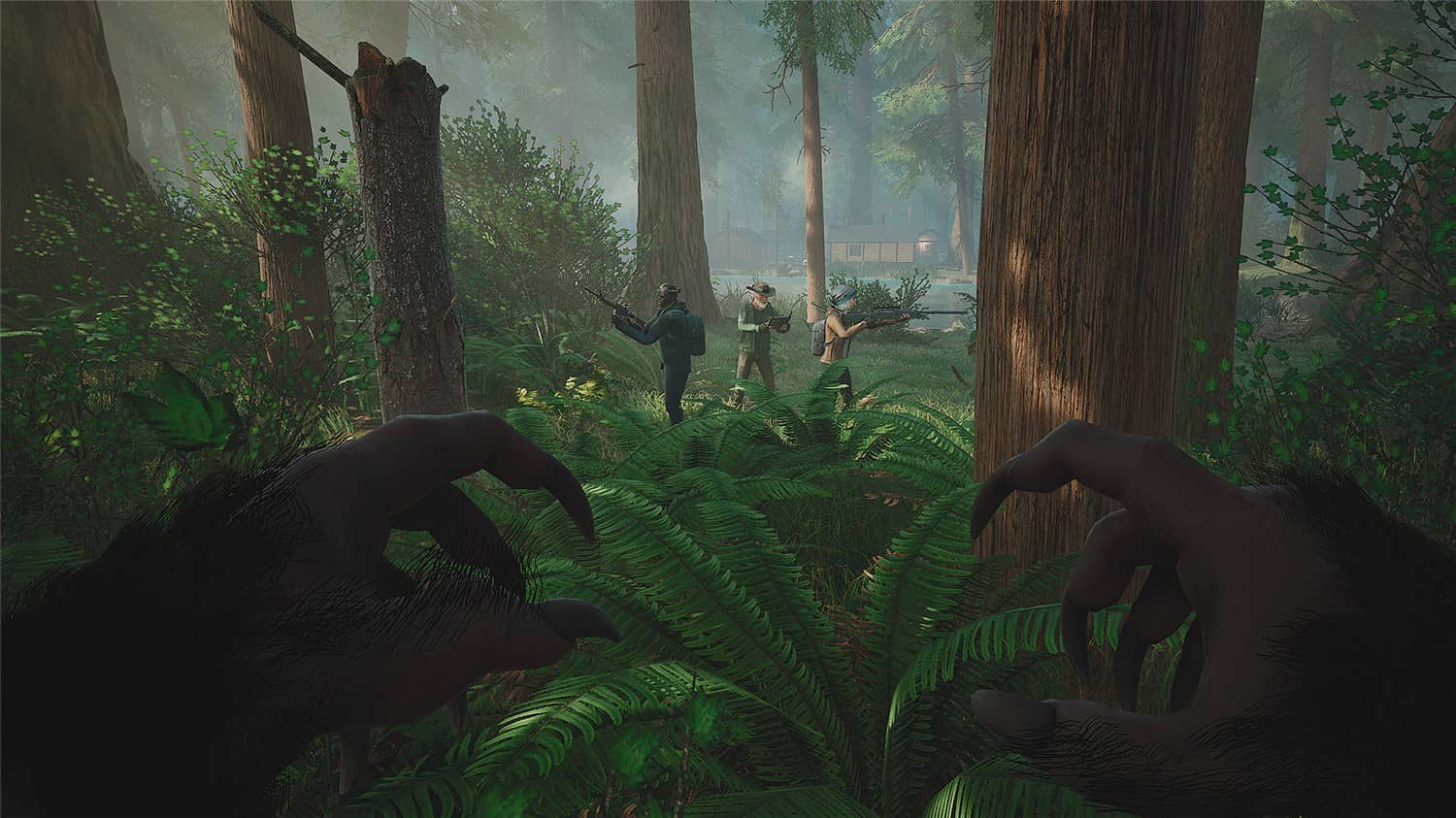 图片[5]-大脚怪/BIGFOOT-小栈资源网