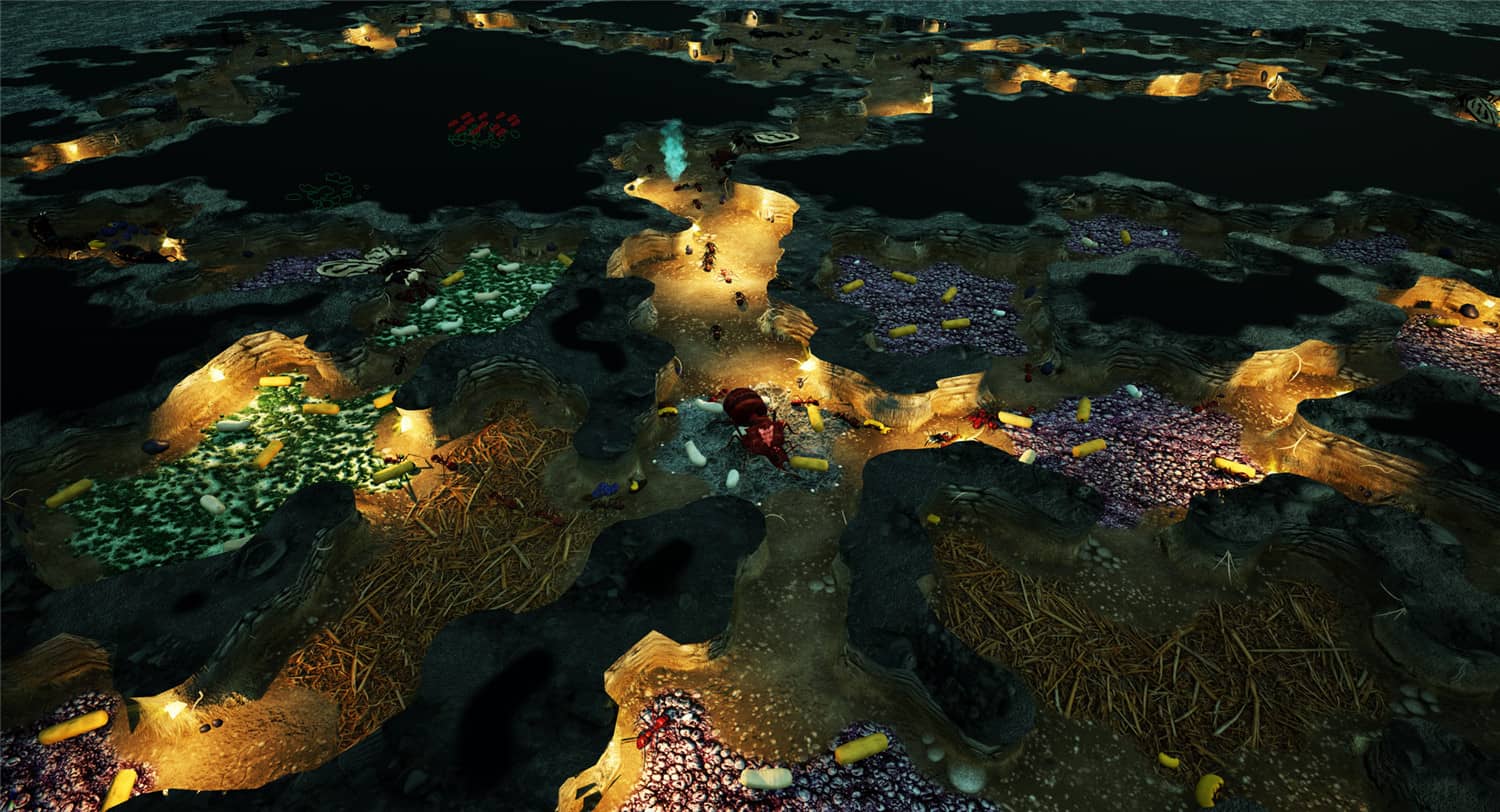 图片[5]-地下蚁国/Empires of the Undergrowth-小栈资源网