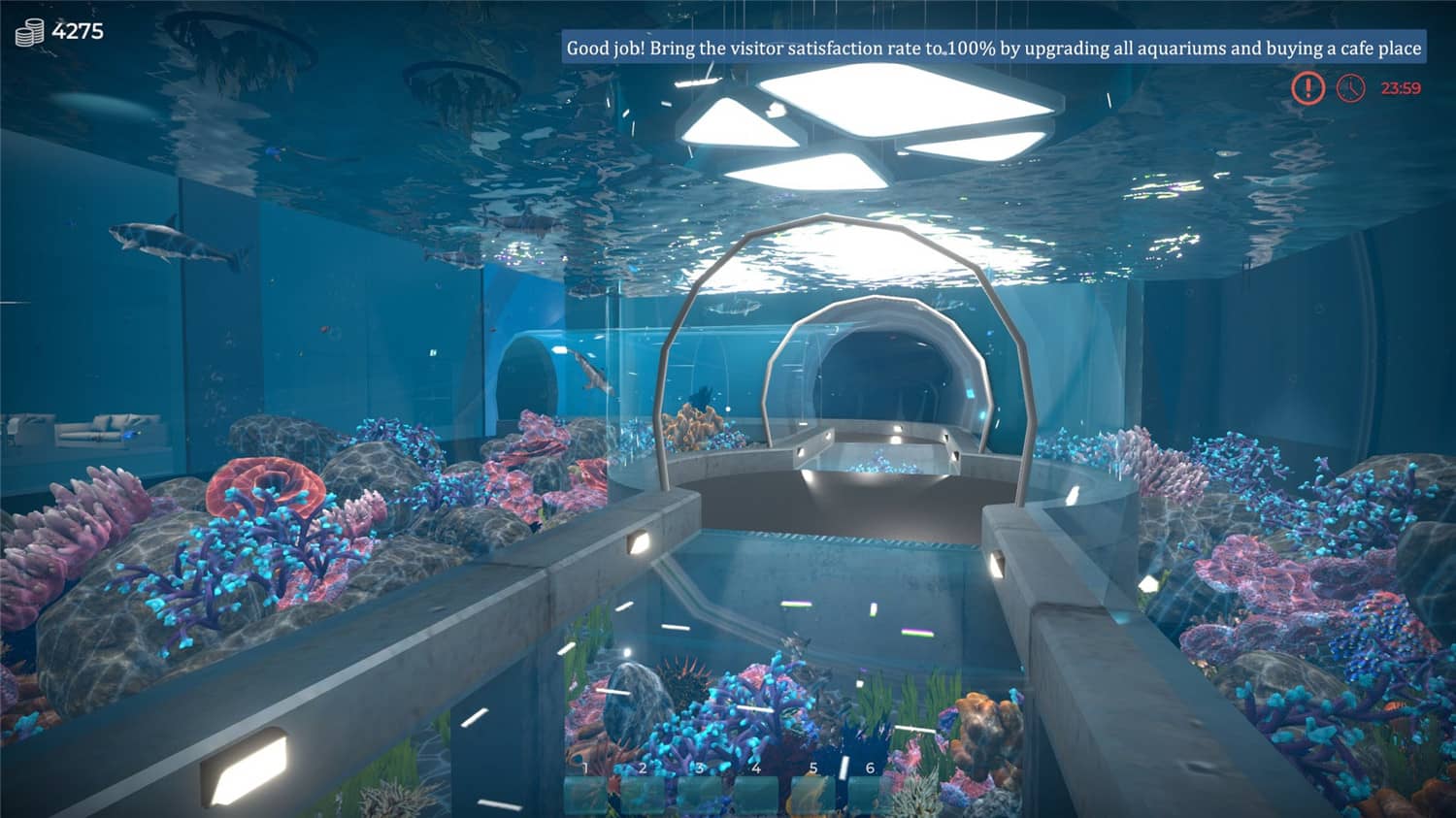 图片[2]-Aquarist – 建造水族馆，养鱼，发展你的事业！-小栈资源网