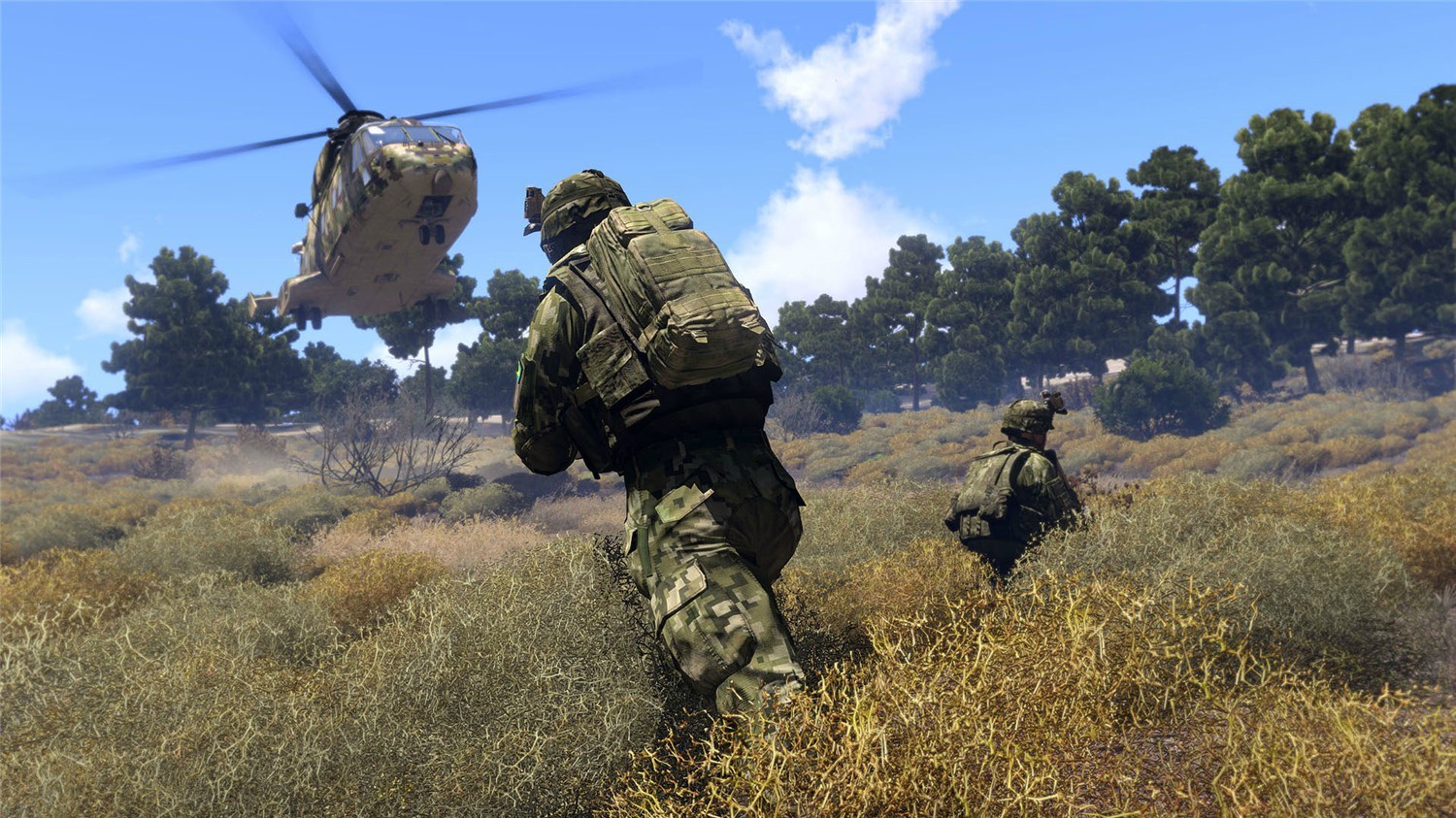 图片[6]-武装突袭3/Arma 3/ArmA III-小栈资源网