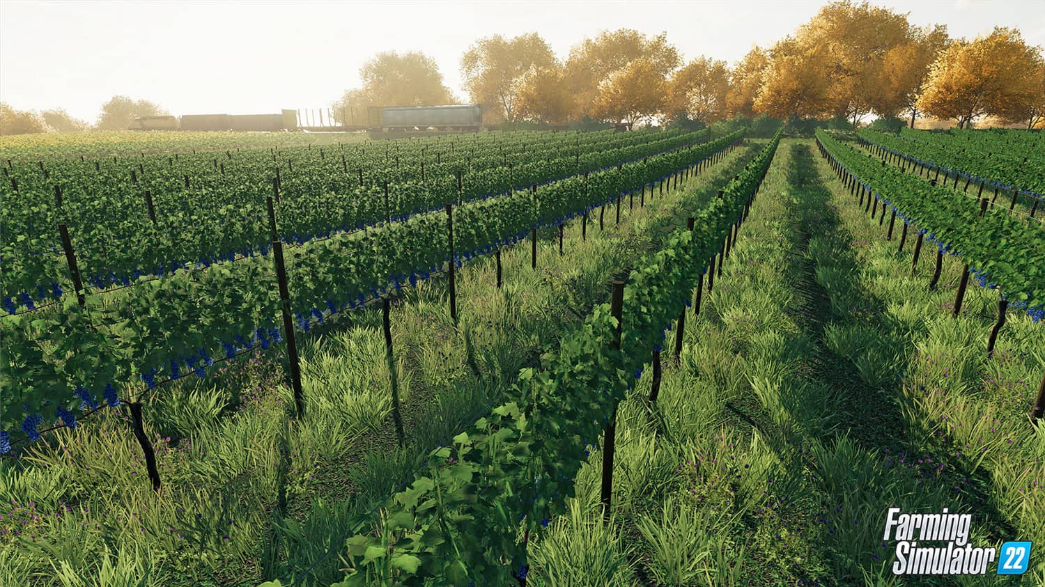 图片[6]-模拟农场22/Farming Simulator 22-小栈资源网