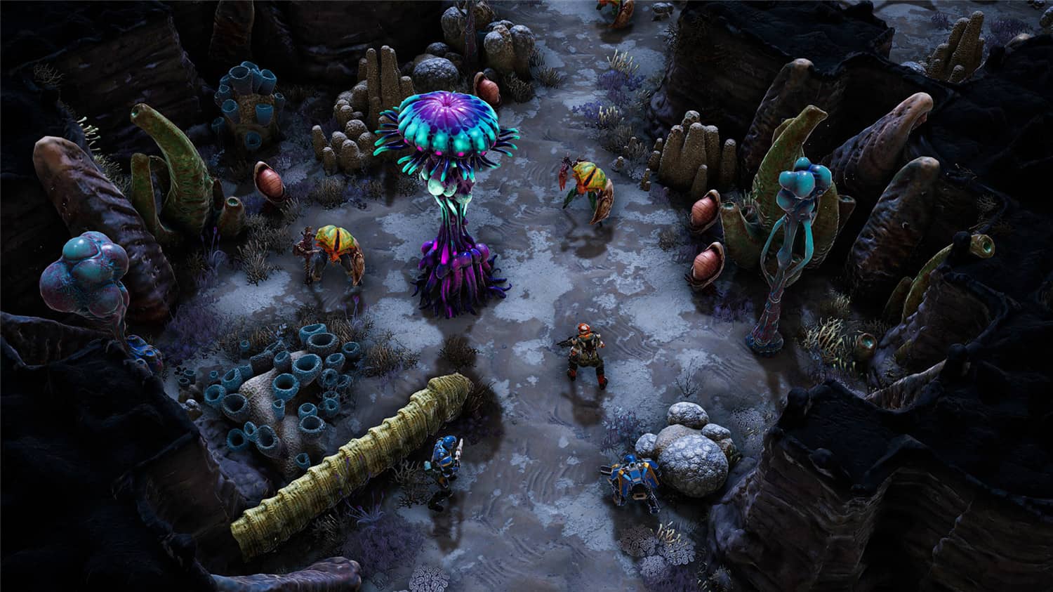 图片[7]-凤凰点：周年版/Phoenix Point: Year One Edition-小栈资源网