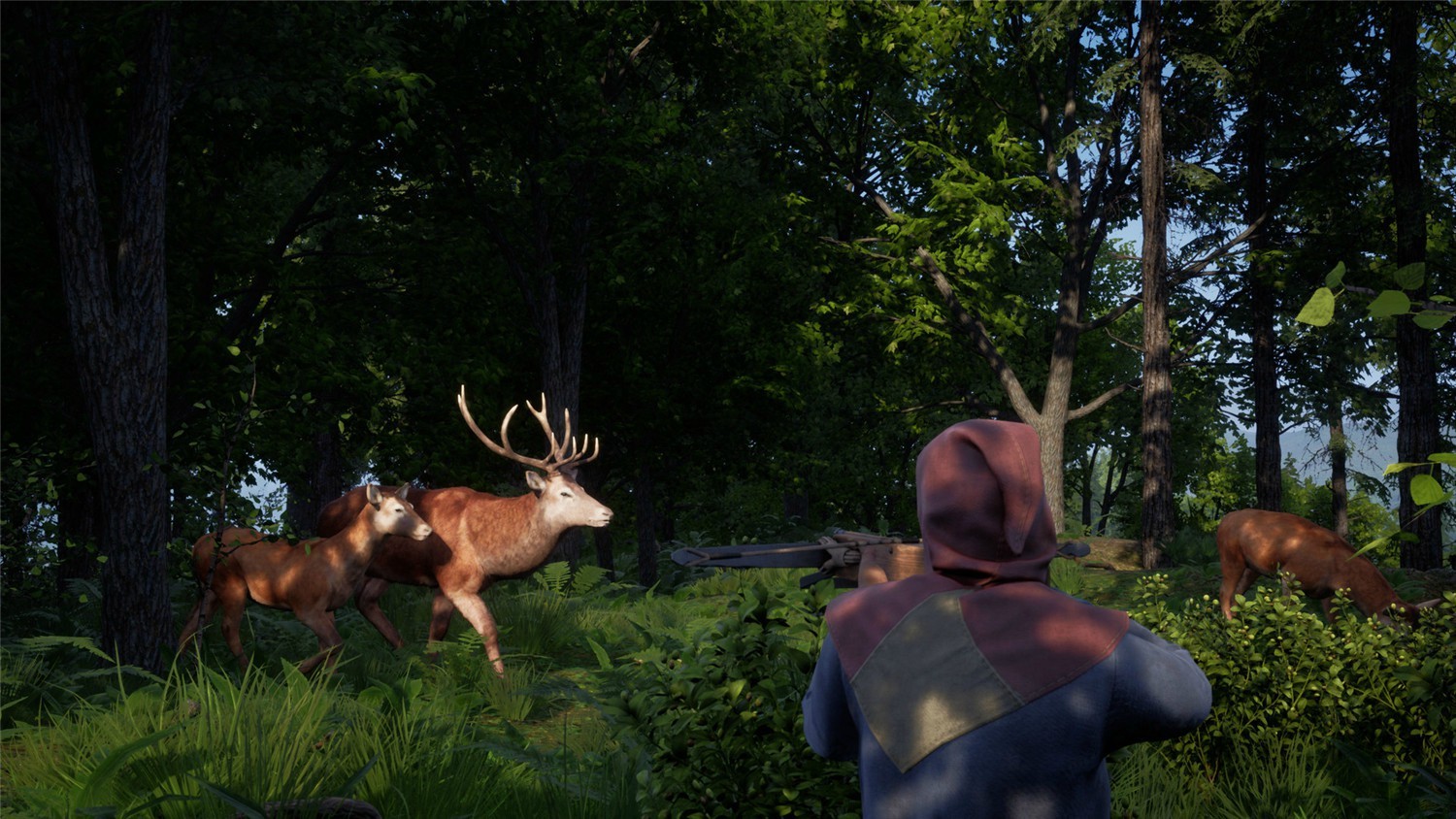 图片[6]-中世纪王朝数字支持者版/Medieval Dynasty Digital Supporter Edition-小栈资源网