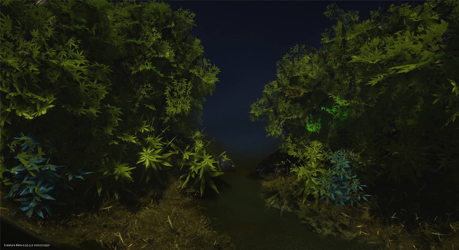 图片[5]-Creatura-小栈资源网