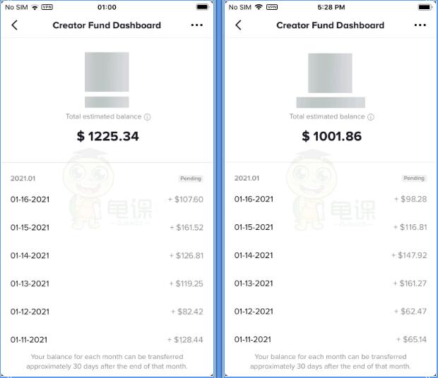 图片[1]-龟课·Tik Tok变现实战训练营线上第2期：日入上百+美刀 月收益上万不成问题-小栈资源网