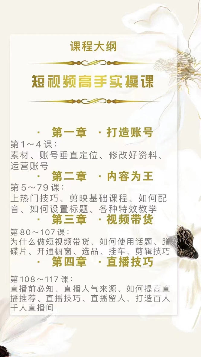 图片[1]-短视频高手实操课：从入门到精通，账号+运营+直播，应有尽有！-小栈资源网