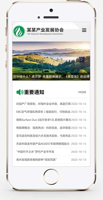 图片[2]-(自适应手机端)政府协会网站源码 绿色pbootcms产业发展协会网站模板-小栈资源网