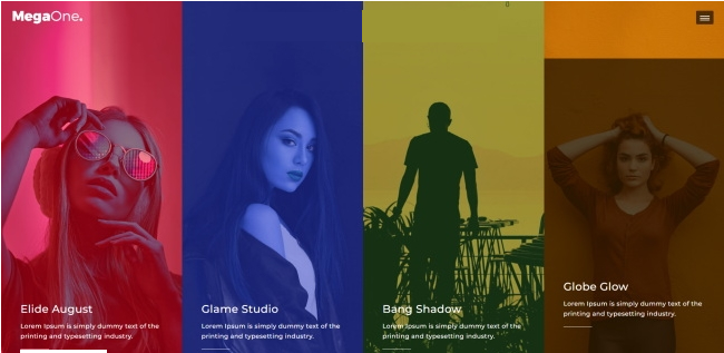 图片[1]-演唱会嘉宾宣传介绍网页模板-小栈资源网