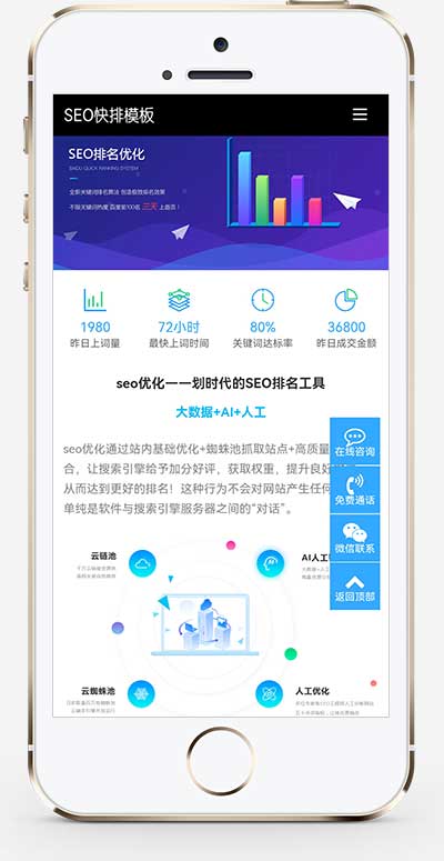 图片[2]-(自适应移动端)大气的IT网络软件公司网站源码 seo快排网站pbootcms模板-小栈资源网