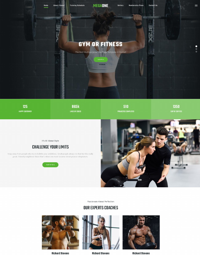 图片[1]-[PHP]DM建站系统健身房宣传网站模板 v1.2-小栈资源网